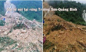 Sạt lở núi san phẳng trạm bảo vệ rừng Trường Sơn tại Quảng Bình,  không ai thiệt mạng (19/10/2020)